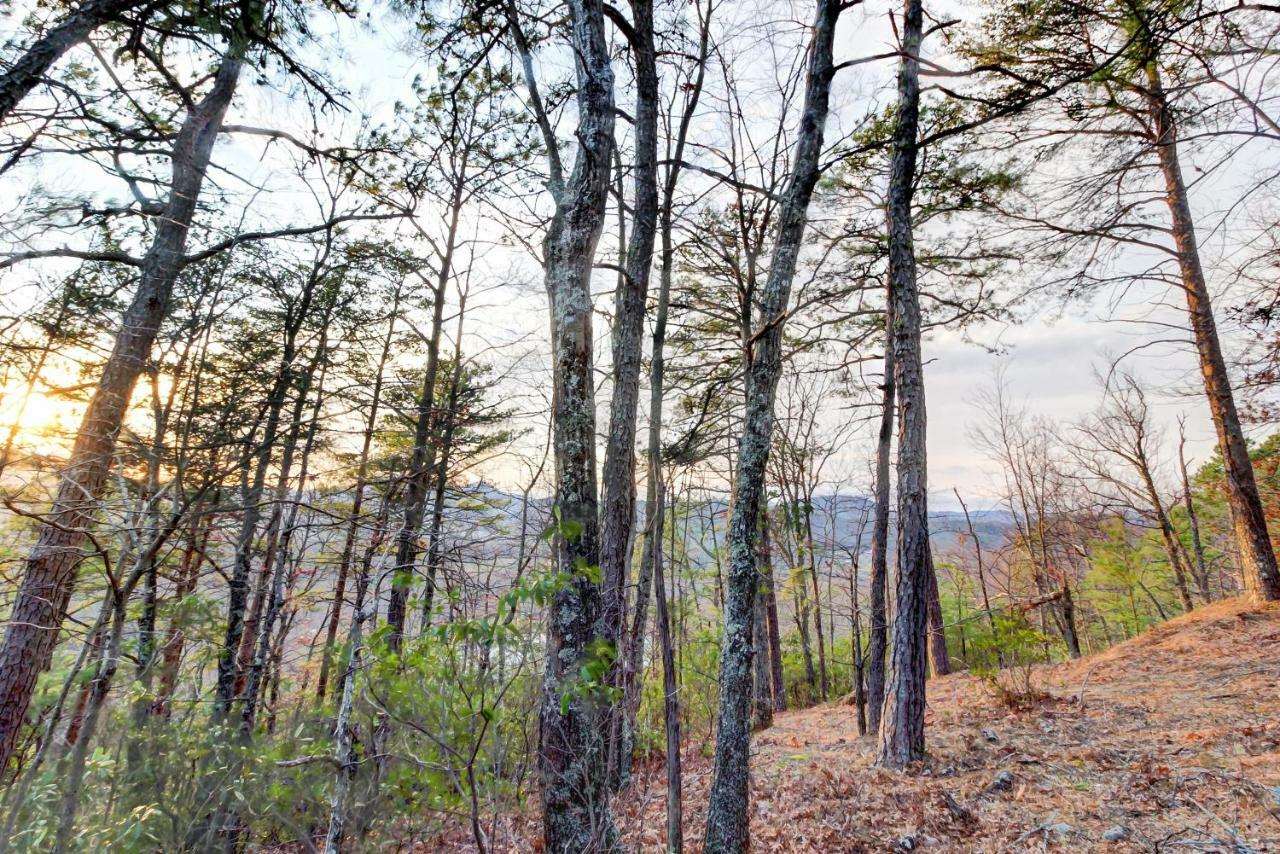 Misty View Cabin Hatchertown Exterior foto